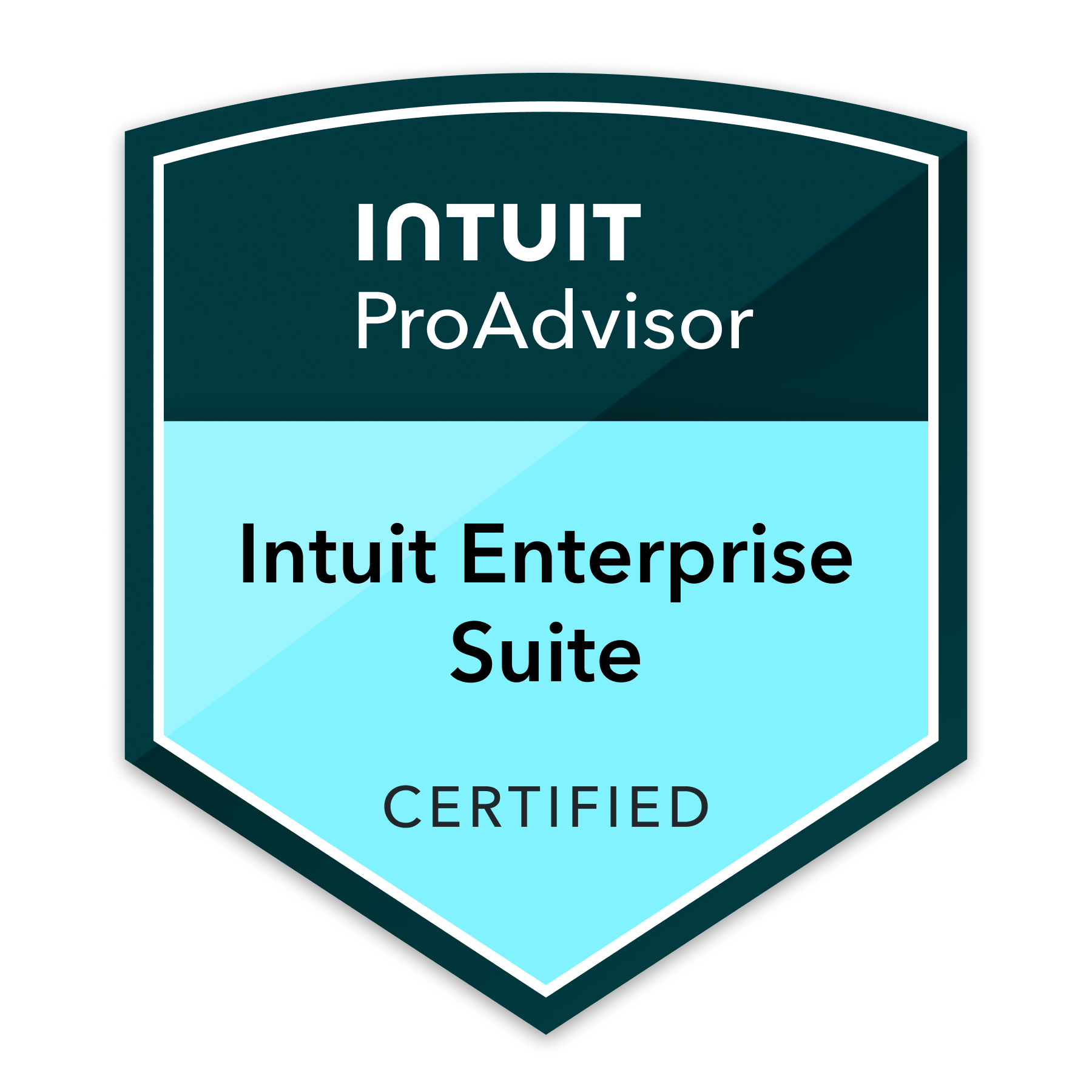 Intuit ProAdvisor Enterprise